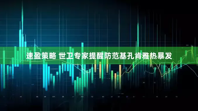 速盈策略 世卫专家提醒防范基孔肯雅热暴发