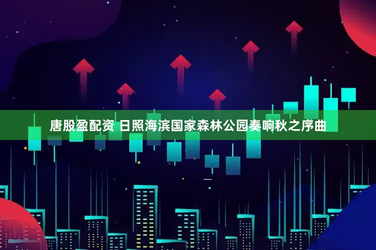 唐股盈配资 日照海滨国家森林公园奏响秋之序曲