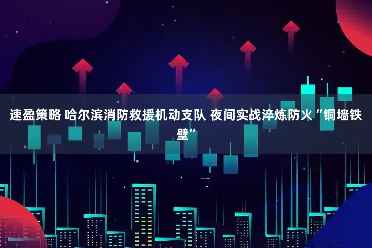 速盈策略 哈尔滨消防救援机动支队 夜间实战淬炼防火“铜墙铁壁”