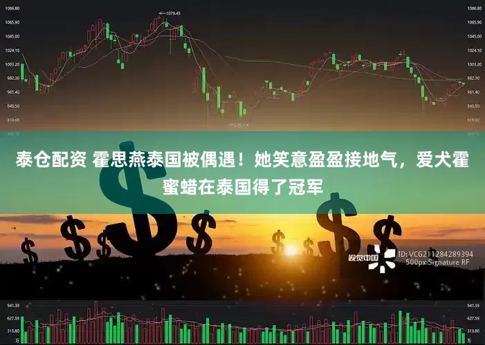 泰仓配资 霍思燕泰国被偶遇！她笑意盈盈接地气，爱犬霍蜜蜡在泰国得了冠军